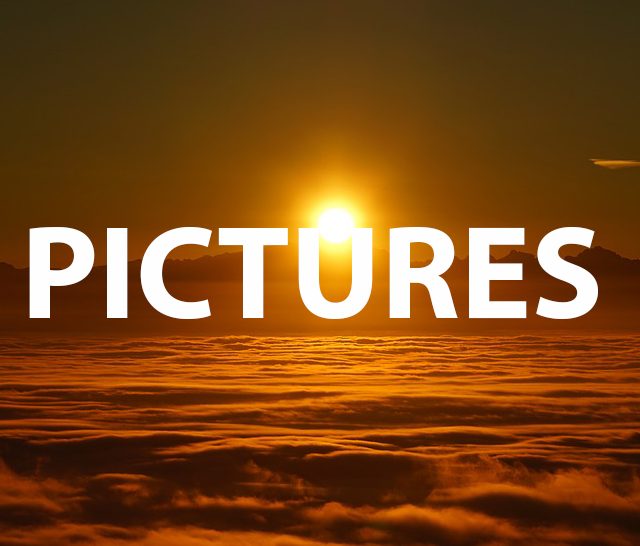 pictures in term paper